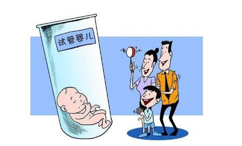 陈若晴 副院长